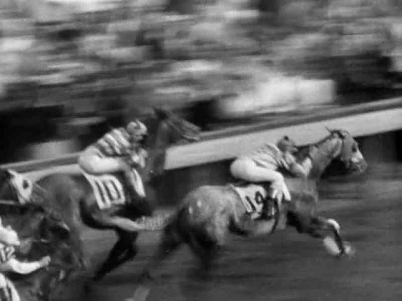 Come on, Beverly! Look, look at 'em go. Look