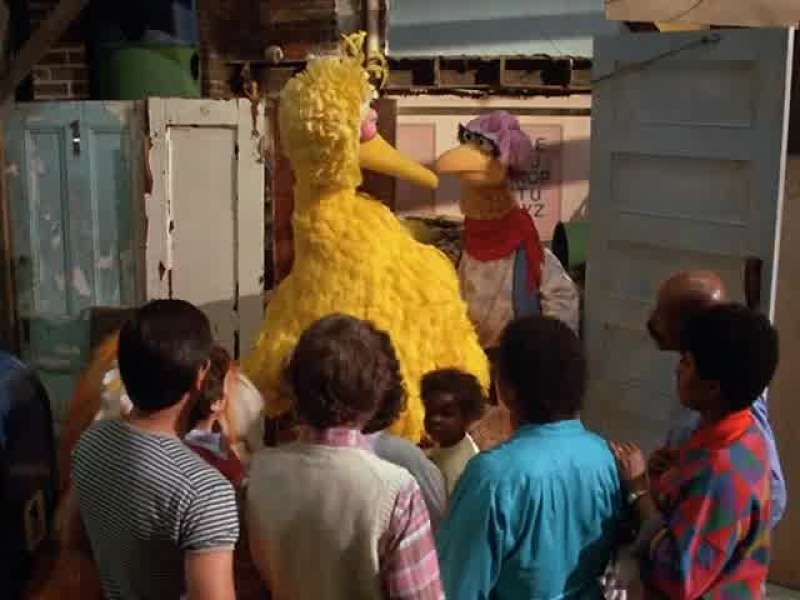 Come On Big Bird
