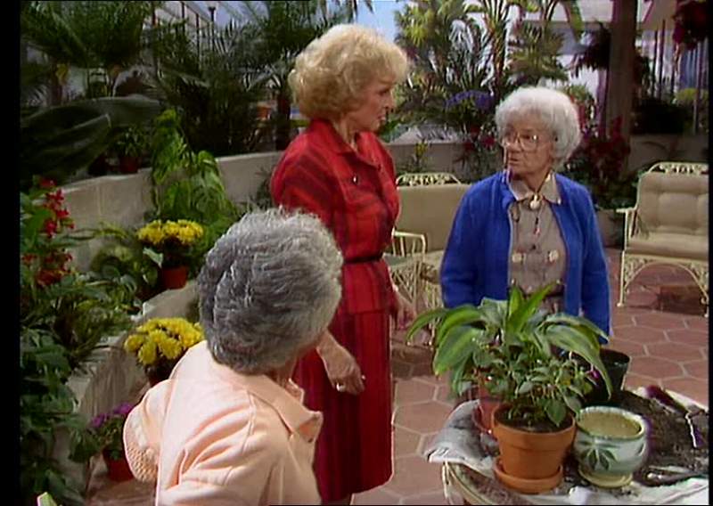 Come on Blanche