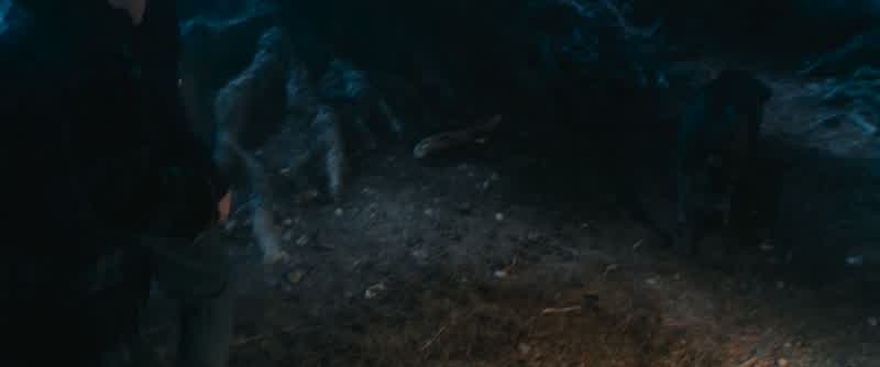 Come on!Come on, move faster!