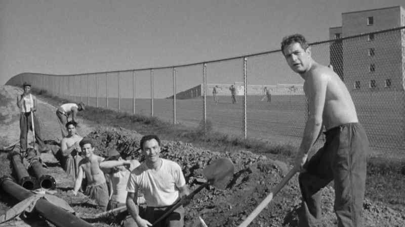 Come on, dig. - Just one mouthful. Just one