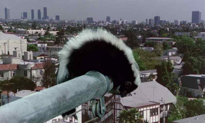 COME ON, DUSTER