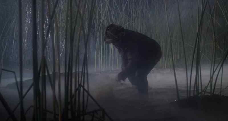 Come on, frogs!