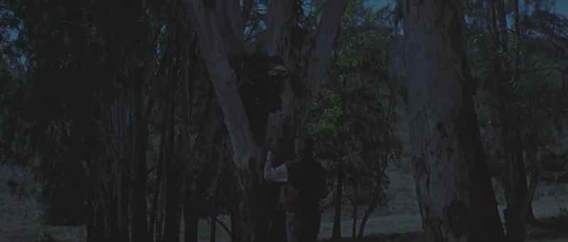 Come on. Get down from there