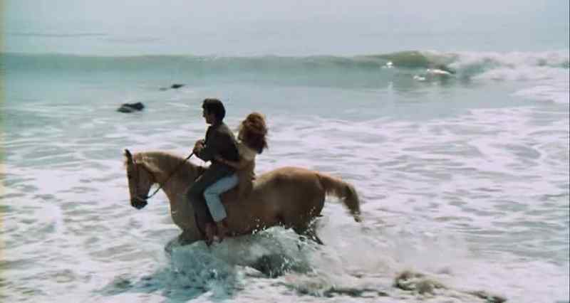 Come on, get your feet wet. Go on, get in there