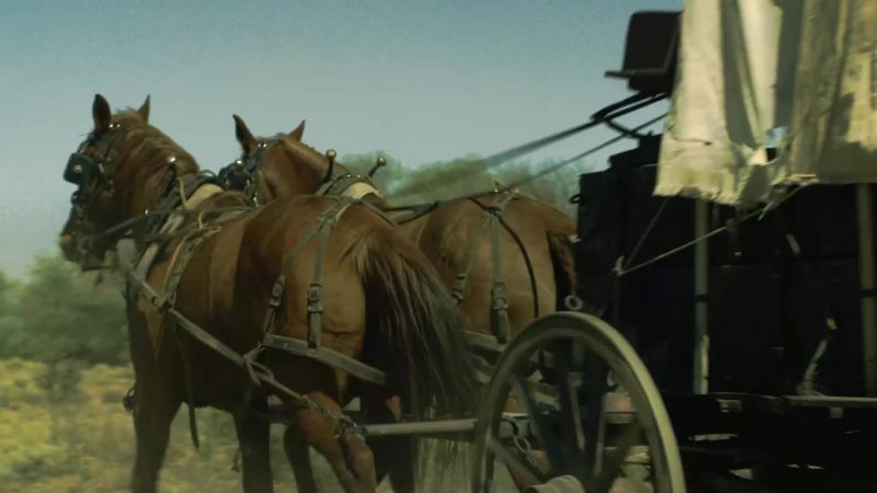Come on! Giddy up!