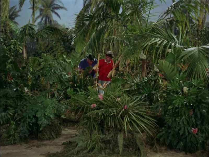 COME ON, GILLIGAN
