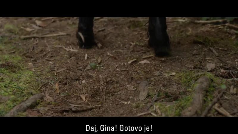 Come on, Gina! It's over!