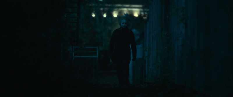 Come on. - Help Tora. - William!