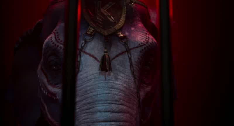 Come on, I want to see Dumbo!