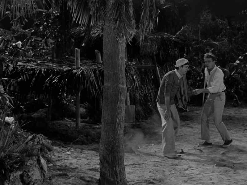 Come on, let's hurry. He's going right back to the lagoon