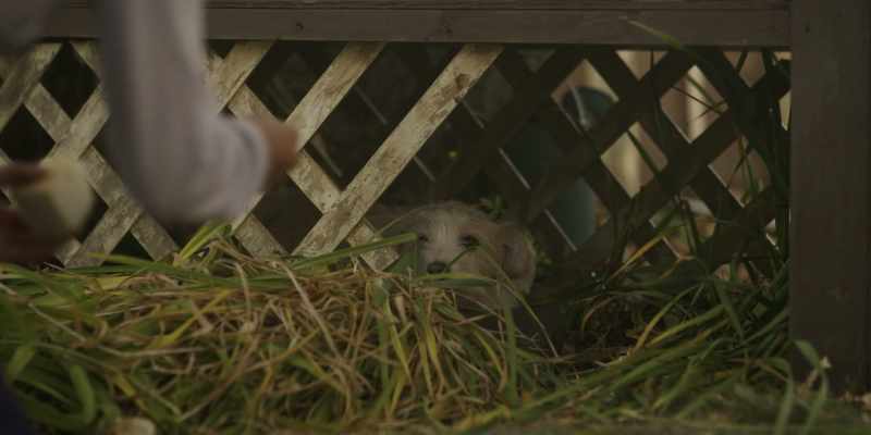 Come on, you little thief. Yeah, good girl!