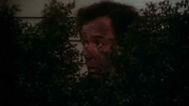 Come on, Moss!