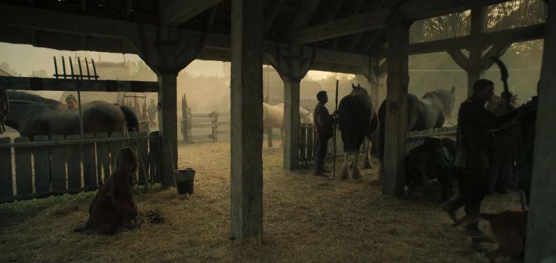 Come on. Nothing here but horses. Let's go