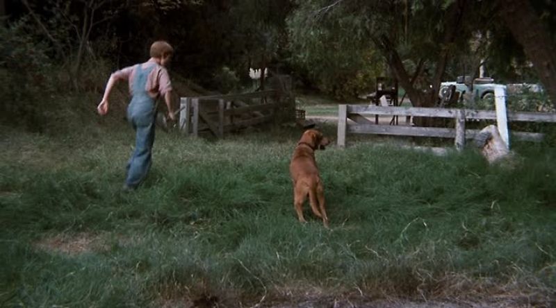 Come on, Reckless. Let's go, boy