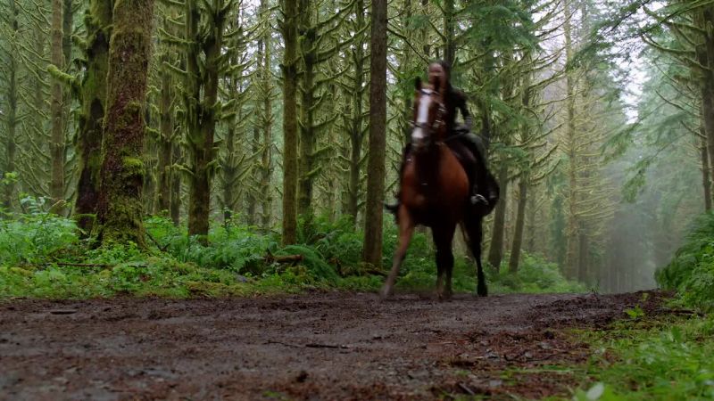 Come on, Rocinante! Go!