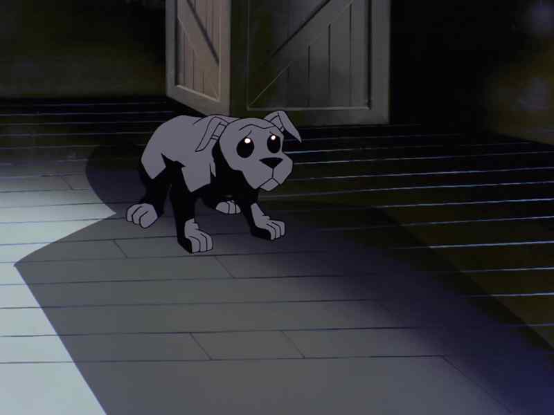 Come on, you scrawny little mutt
