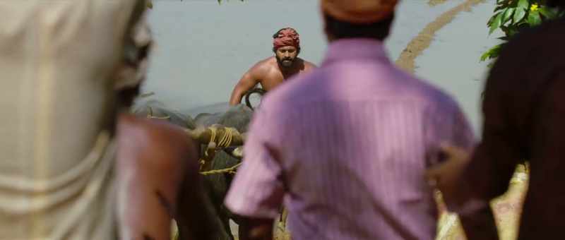 Come on, Shiva. -That was awesome, Shiva!