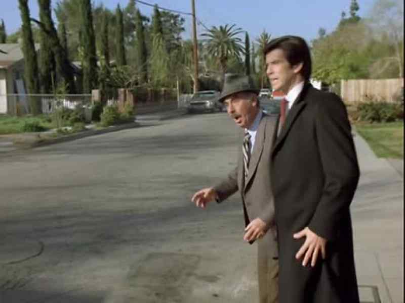Come on! - What? We're gonna chase them?