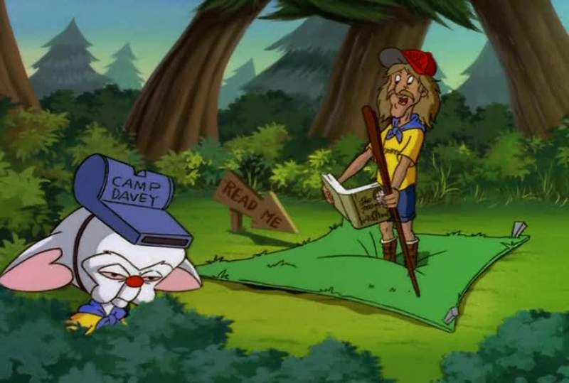 Come pinky We must return to the lab