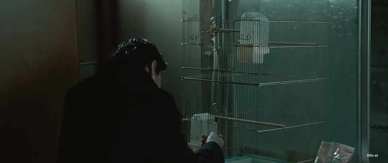 Come to think of it The bird that was raised died