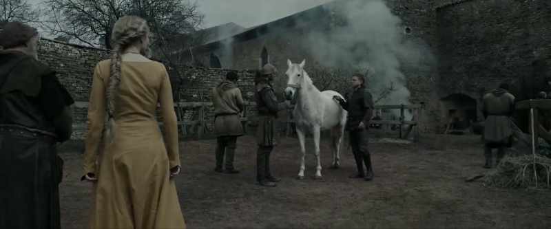 Comes from a long line of war horses