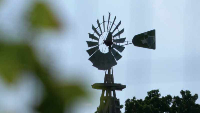 Coming from a--a rural area