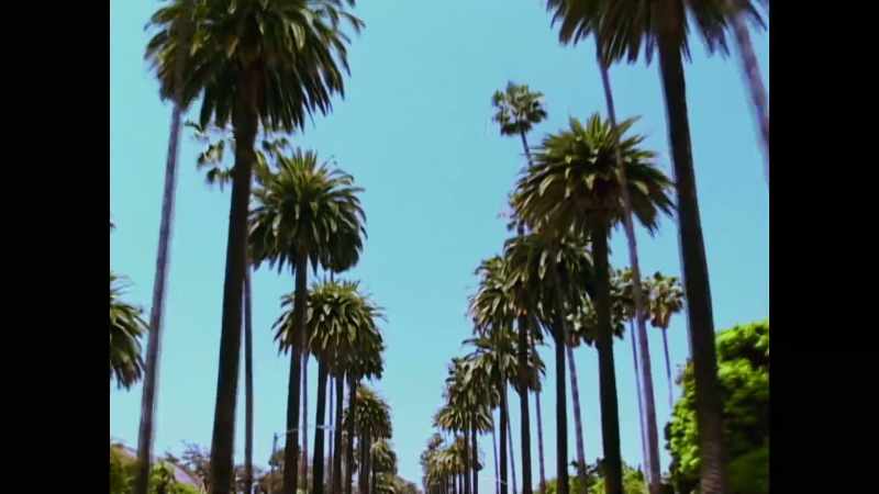 Coming to LA for us was like