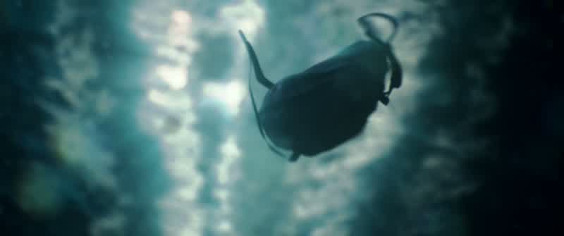 Command, Delta Two, the bomb's in the water