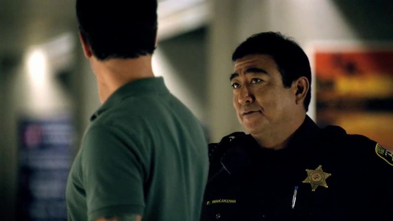 Commander McGarrett?