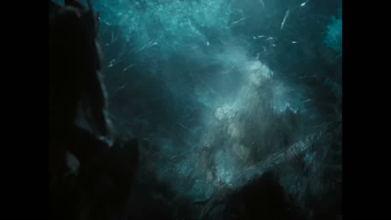 Commander Mera, I told the king the perimeter guards were taken