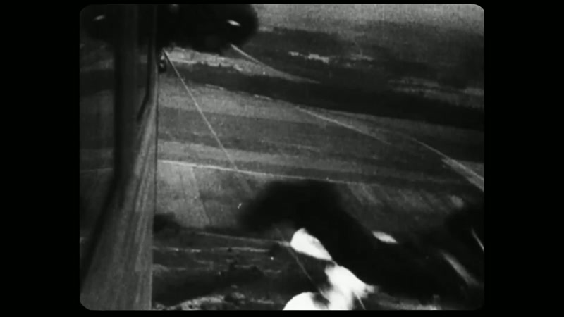 Commanding officers had diverted the RAF