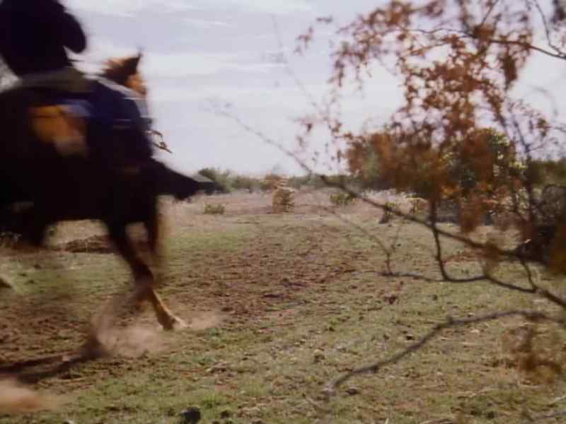 Company, charge!