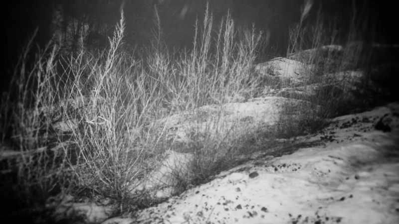 Condition of the body indicated that she was there for a while