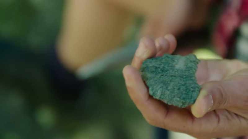 Conditions post extinction led to the formation