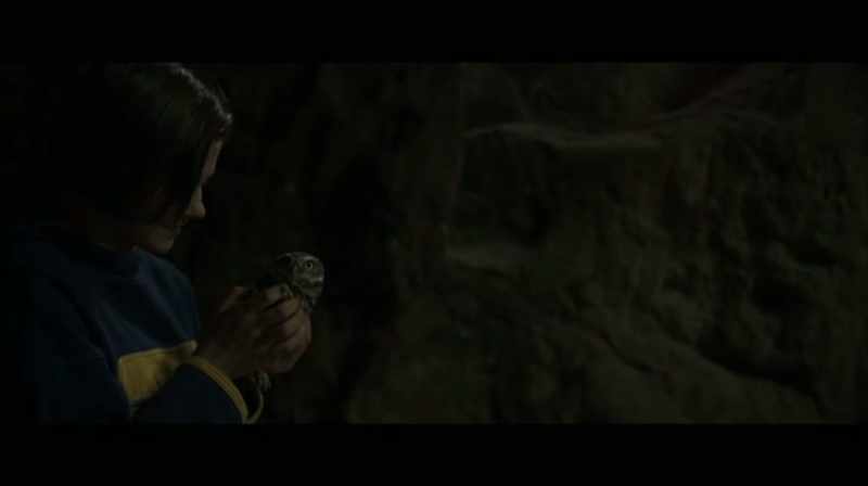 Conigliaro, would you like to help your companion