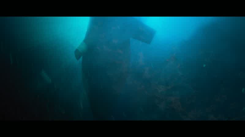 Conn, sonar