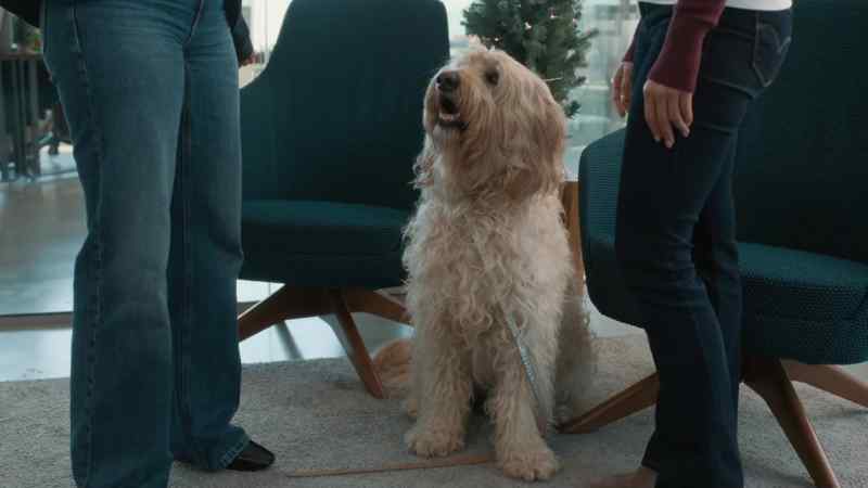 Consider it the Christmas spirit getting you back into the world