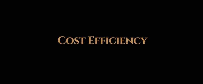Consider the function of cost efficiency