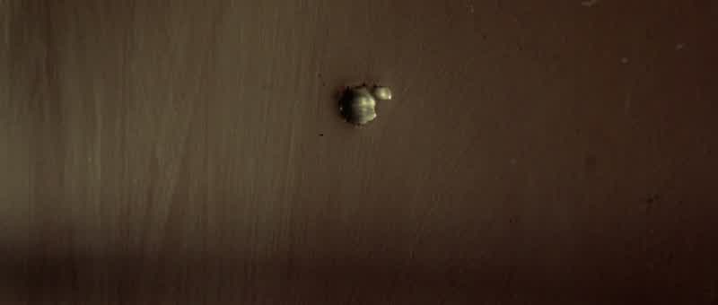 Consuelo: Antonio!
