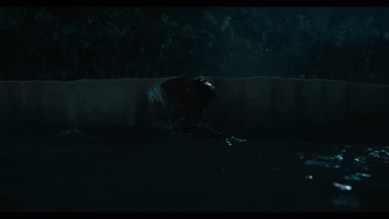 The Weasel is dead!