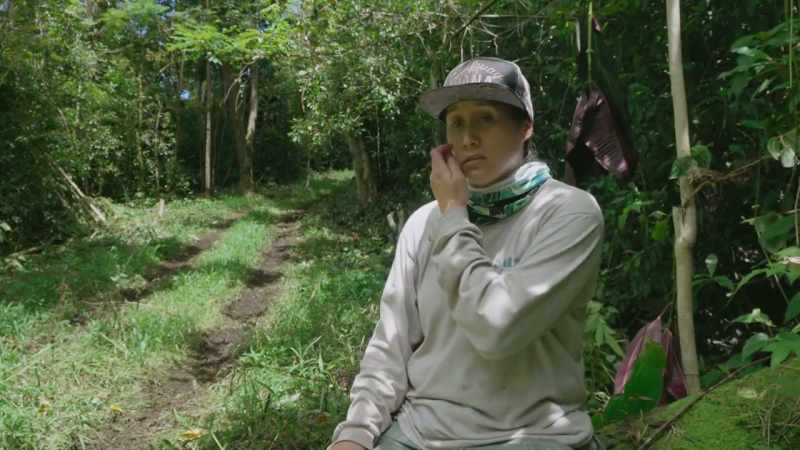Controlling these invasive plants is a relentless job