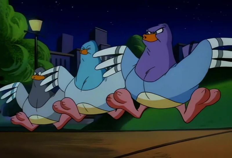 [COO COO]