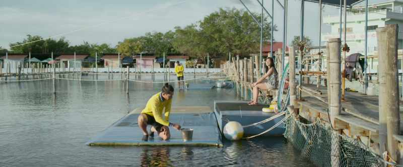 Cool, you can train dolphins