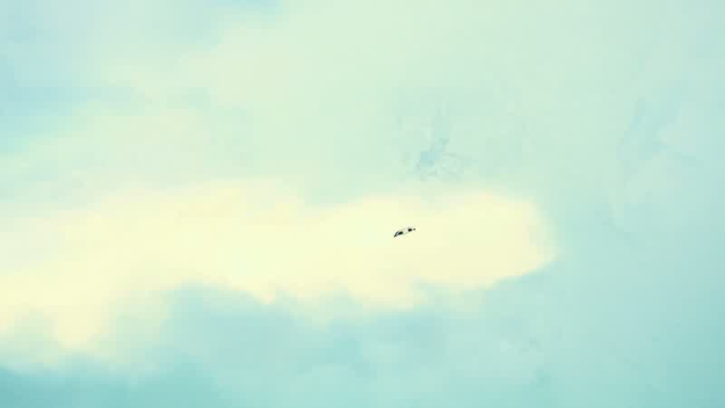 COOPER: Frozen cloud