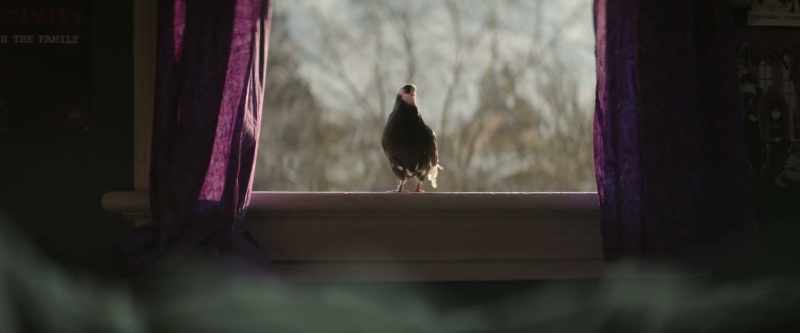 [coos]