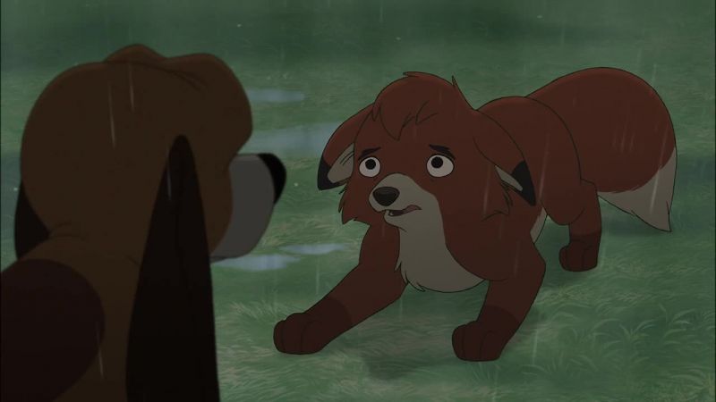 Copper, I'm sorry. I just wanted to