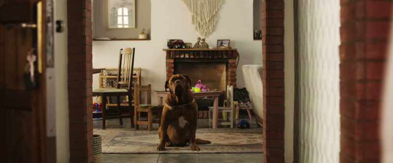 Coquito, prepare a bag with clothes, toys