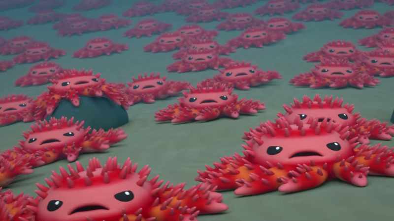 Coral. Nom, nom, nom