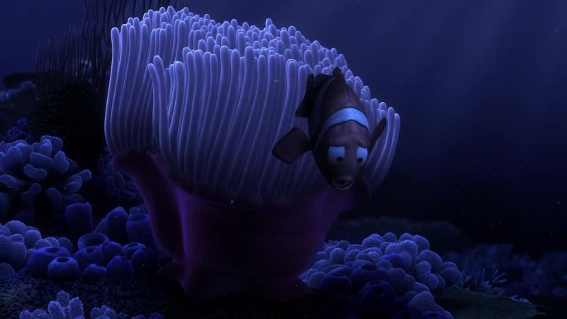 Coral?